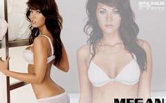 �齫��������������Ƶ��ʵ�ģ������֡���ǩ���ǡ� ����ʵ���������������(ͼ)...